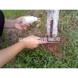 广州海珠湖公园预防白蚁