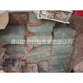 桂城防治白蚁危害工程